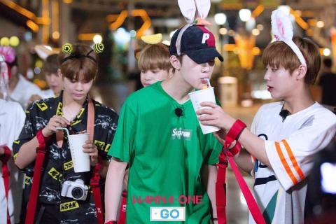 wannaone go在线观看,独家在线观看,揭秘偶像成长之路 第1张 wannaone go在线观看,独家在线观看,揭秘偶像成长之路 第1张