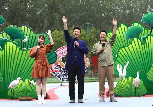 英国病毒爆料视频大全最新,最新视频大全深度解析